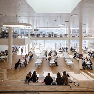 Double sustainability win for Copenhagen International School - C.F. Møller. Photo: Adam Mørk