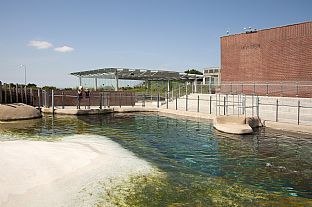 New Wadden Sea Pavilion inaugurated - C.F. Møller. Photo: Esbjerg Kommune