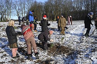 400 children plant school forest in Denmark with C.F. Møller Architects behind the vision and masterplan - C.F. Møller. Photo: C.F. Møller Architects / Joanna Lykke Kaalby