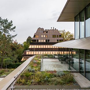 Bellerivestrasse 36, C.F. Møller Architercts - Revitalizing Bellerivestrasse 36: From Monolith to Modern Pavilion by Lake Zürich - C.F. Møller. Photo: Mark Hadden