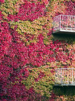C.F. MØLLER SKAL MODERNISERE LABORATORIER PÅ AARHUS UNIVERSITET - C.F. Møller. Photo: Julian Weyer
