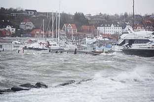 C.F. Møller Landscape wins climate protection contract for east Port of Lemvig - C.F. Møller. Photo: Mads Krabbe