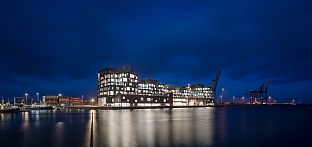 Copenhagen International School - C.F. Møller. Photo: Adam Mørk