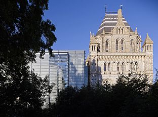 Danish cocoon completed for Londons insects  - C.F. Møller. Photo: Torben Eskerod