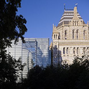 Darwin Centre, London, C.F. Møller Architects - Celebration of the Refurbished Danish Church in London - C.F. Møller. Photo: C.F. Møller Architects / Torben Eskerod