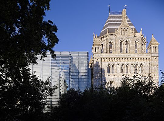 Extension of the Natural History Museum in London, taking the form of an enormous cocoon in a glass covering. - History - C.F. Møller. Photo: Torben Eskerod