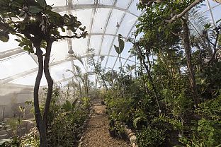 HEDER TIL BYENS BESTE BYGNINGER - C.F. Møller. Photo: Quintin Lake