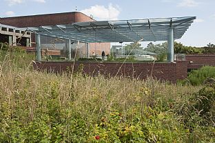 NY VADEHAVSPAVILJONG INNVIET - C.F. Møller. Photo: Esbjerg Kommune