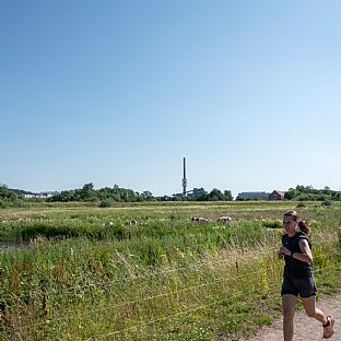 Storkeengen (Stork MEadow), C.F. Møller Architects - Storkeengen (the Stork Meadow) wins DANVA’s Climate Award 2025 – building on earlier architectural recognition - C.F. Møller. Photo: Peter Sikker Rasmussen