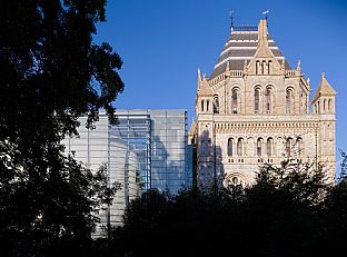 The Darwin Centre - Nytt kontor i London - C.F. Møller. Photo: Torben Eskerod