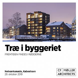 Træ i byggeriet - Fremtiden findes i rødderne - C.F. Møller. Photo: Nikolaj Jakosen