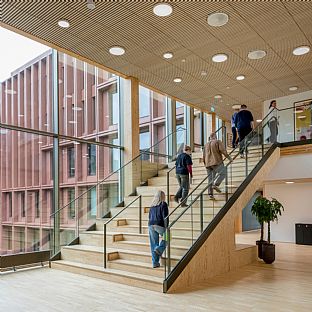 WoodHub, C.F. Møller Architects - Intervju: Å designe WoodHub — Danmarks største trebygg - C.F. Møller. Photo: Rasmus Hjortshøj