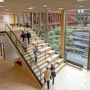 WoodHub, C.F. Møller Architects - Q&A: Thue Borgen Hasløv on WoodHub - C.F. Møller. Photo: Rasmus Hjortshøj