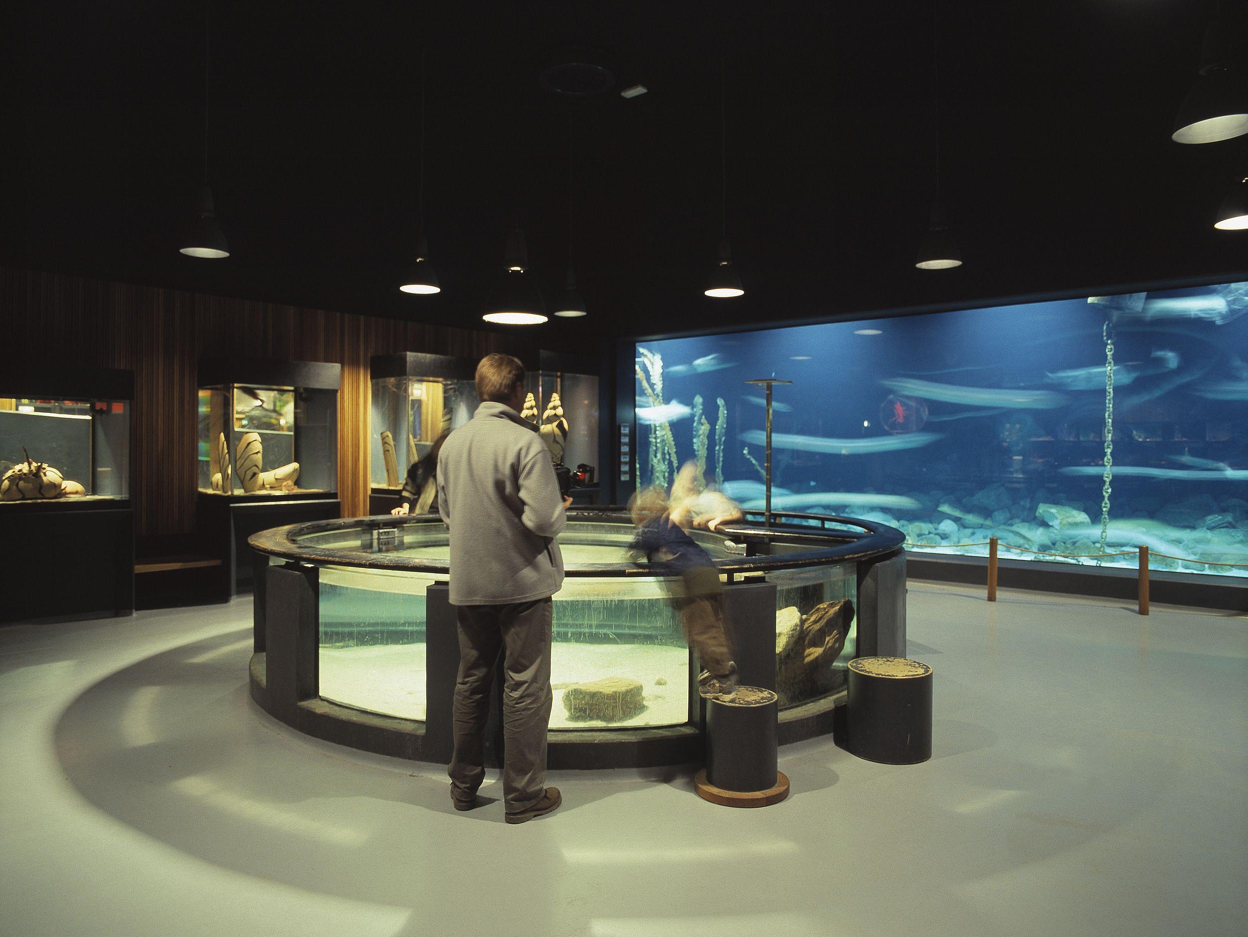 Aquarium hall, the Fisheries and Maritime Museum Projects C.F. Møller