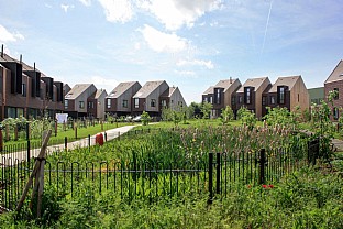  Golden Mede Housing, Waddesdon. C.F. Møller. Photo: Philip Twaddell