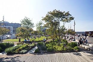  Hafenfront in Aalborg. C.F. Møller. Photo: Julian Weyer