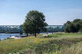  Justesens Plæne (Justesens Lawn). C.F. Møller. Photo: Thomas Olsen