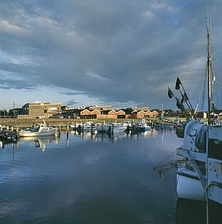  Køge Åhavn. C.F. Møller. Photo: Adam Mørk