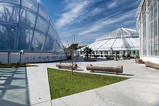  Landscape for the extension of the hothouse in the Botanic Garden in Aarhus. C.F. Møller