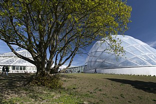  Landskab for væksthus i Botanisk Have, Aarhus Universitet. C.F. Møller. Photo: Julian Weyer