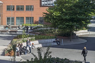  Nobelpark, Aarhus Universität - Landschaft. C.F. Møller. Photo: Julian Weyer