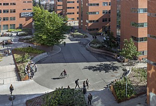  Nobelparken, Aarhus University - Landscape. C.F. Møller. Photo: Julian Weyer