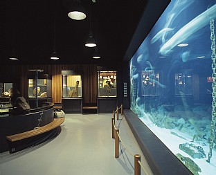 Saltvandsakvarie, Fiskeri- og Søfartsmuseet. C.F. Møller Saltvandsakvarie, Fiskeri- og Søfartsmuseet. C.F. Møller