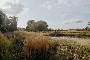  Springfield Park, London. C.F. Møller. Photo: Mark Hadden