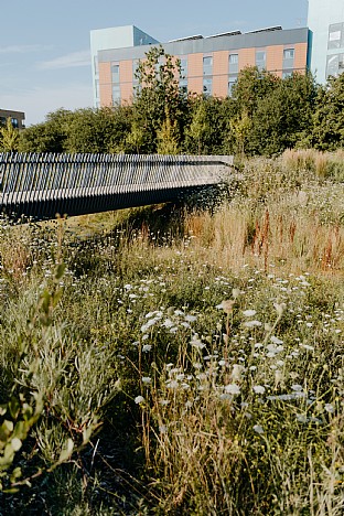  Springfield Park, London. C.F. Møller. Photo: Mark Hadden