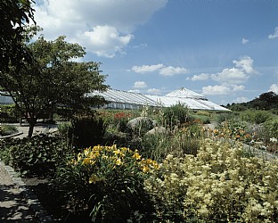  Væksthus ved Botanisk Institut. C.F. Møller