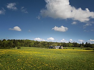  Villa G. C.F. Møller. Photo: Jørgen True