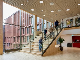  WoodHub, Statligt kontorsnav, Odense. C.F. Møller. Photo: Rasmus Hjortshøj