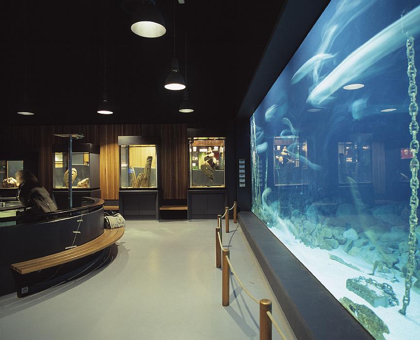 Aquarium hall, the Fisheries and Maritime Museum Projects C.F. Møller